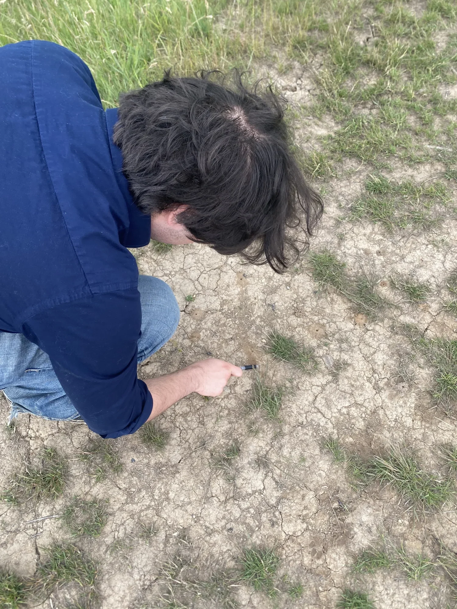 PIcture of boy looking at ant holes
