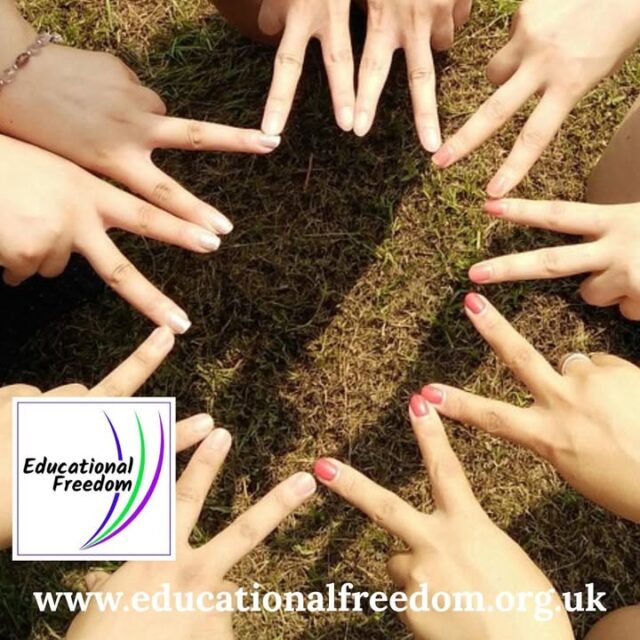 🌿 Starting a Local Home Ed Group – It’s Easier Than You Think! 🤝✨

Dreaming of a little community where families can learn, play, and grow together? Here’s how to start your own local home ed group:

1️⃣ Spread the word - Let your local facebook groups know. Let everyone know! 🌱
2️⃣ Find a Spot – Parks, libraries, community halls, or even your garden can make the perfect meet-up space.
3️⃣ Pick a Rhythm – Weekly nature walks, monthly project days, or casual coffee mornings — consistency helps!
4️⃣ Share the Load – Everyone can bring something — a story, a craft, a snack, or a smile. 💛
5️⃣ Keep It Simple – Focus on connection over perfection. Kids (and adults!) learn best when they feel at home.

Learning together builds friendships, confidence, and joy — right where you are. 🌈

“Community begins when we show up.” 💬

#HomeEducation #LearningTogether #CommunityLearning #HomeEdLife #FamilyLearning