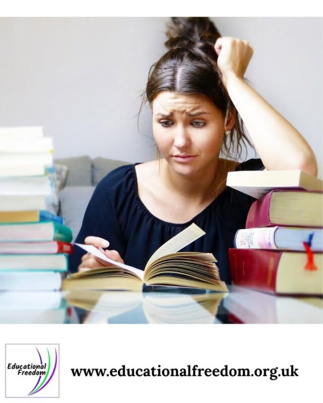Teens learning at home often benefit from a combination of autonomy and guidance. Allowing them to choose topics of interest encourages intrinsic motivation, while occasional structured learning ensures key skills are developed.

Goal-setting can be helpful: weekly or monthly learning targets give a sense of achievement. Encouragement, positive reinforcement, and open discussions about progress can help teens remain engaged.

Remember, motivation fluctuates. Celebrate achievements, however small, and allow downtime to recharge. Educational Freedom provides support and advice for parents navigating teen home education.