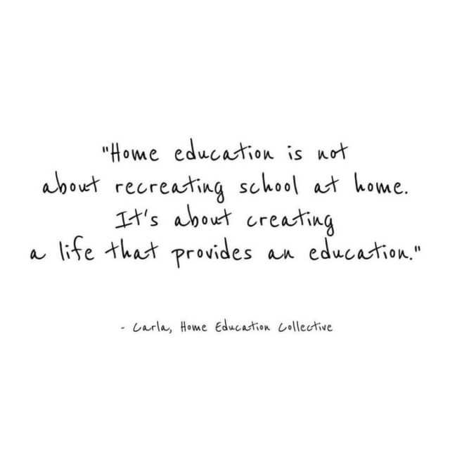 Home Education: Creating a Life of Learning

Home education isn’t just about following lessons or ticking off a curriculum — it’s about creating a life where learning is natural, exciting, and part of every day. It’s exploring the world with curiosity, asking questions, trying new things, and discovering passions along the way.

When you home educate, every outing, every conversation, every hobby can become an opportunity to learn. It’s about helping children develop confidence, creativity, and a love of knowledge that lasts a lifetime.

With home education, learning isn’t confined to a timetable — it’s woven into life itself, shaping not just what children know, but who they are and how they engage with the world.