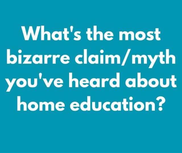 The most bizarre claim I've come across is that home educated children don't socialise enough. What's yours?