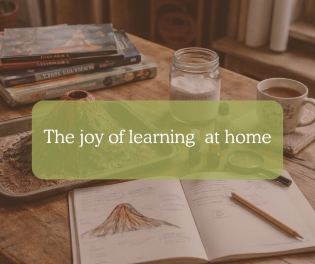 There’s a certain kind of quiet magic in a home where learning isn’t boxed into neat hours or labelled lessons, but instead weaves itself through the day. It sits alongside the washing up, the muddy shoes by the door, the half-finished cups of tea. Home education, for us, isn’t just about academics—it’s a way of living, a rhythm we’ve grown into over time.

https://educationalfreedom.org.uk/the-joy-of-learning-at-home-a-gentle-rhythm-of-curiosity-and-chaos/

#educationalfreedom #homeeducation