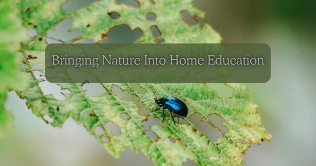 If you were to peek into our days, you’d probably notice quite quickly that nature isn’t something we “add on” to our home education—it’s woven right through it. Check out the new blog post to read more

https://educationalfreedom.org.uk/bringing-nature-into-home-education/
