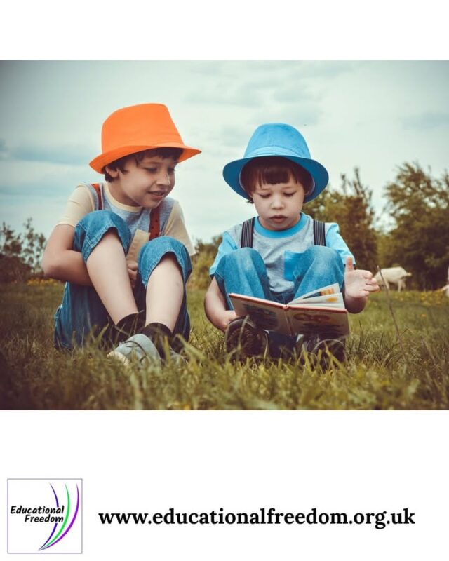 Taking literacy outside can transform the whole experience. Reading under a tree, on a blanket, or beside a stream feels calmer and more enjoyable than sitting at a desk. You can bring a mix of books — stories, nature guides, poetry — and let your child choose what speaks to them. Writing outdoors is equally magical: encourage them to describe what they see, write a short poem, or start a nature‑inspired story. Even reluctant writers often find it easier when they’re surrounded by fresh air and interesting things to observe. It’s a simple shift that makes literacy feel alive and meaningful.