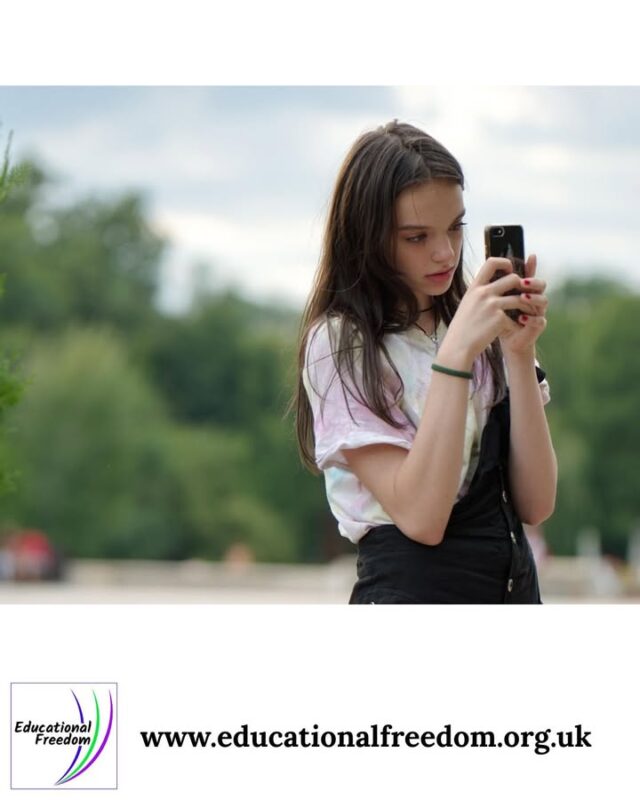 One of the simplest and most rewarding home‑ed activities is a slow, curious nature walk. You don’t need worksheets or a plan — just time, space, and a willingness to follow your child’s interests. Bring a small notebook or your phone to jot down questions they ask, things they notice, or ideas they want to explore later. Children naturally observe patterns, textures, sounds, and changes in the environment, which builds early scientific thinking without any pressure. You can extend the learning by sketching leaves, identifying birds, or collecting fallen items for a nature table at home. It’s gentle, free, and incredibly grounding for both parent and child.