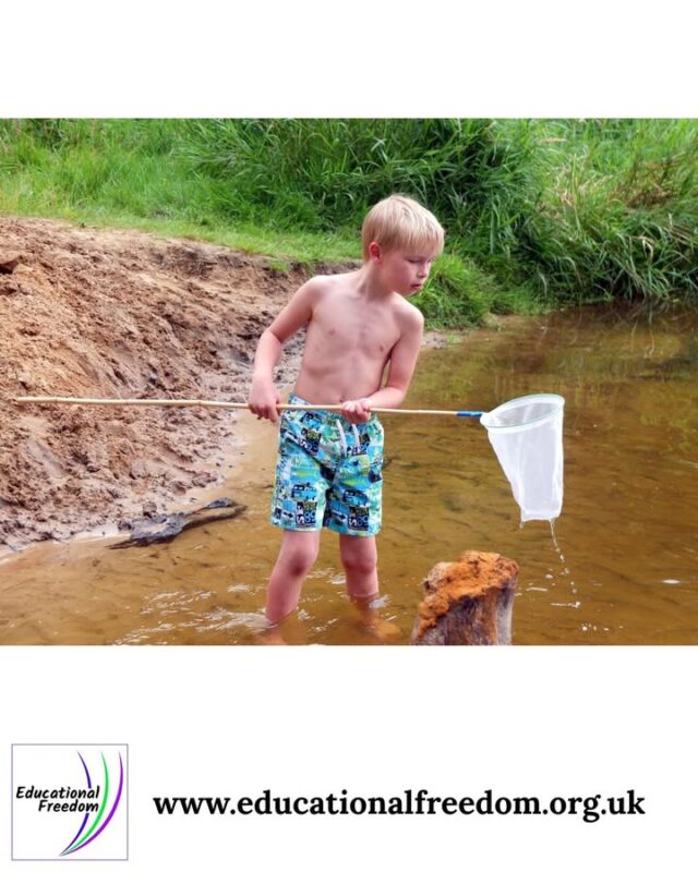 Outdoor science is perfect for hands‑on learners. Children can test ideas, investigate natural materials, observe weather changes, or explore habitats. Simple experiments — sinking and floating, shadows, soil textures, water flow — help them understand scientific concepts through real experience. You can bring magnifying glasses, pots for temporary observation, or a small field guide to identify what you find. The key is to let your child lead the exploration and ask questions. Science becomes far more meaningful when it’s rooted in real‑world discovery rather than abstract explanations.