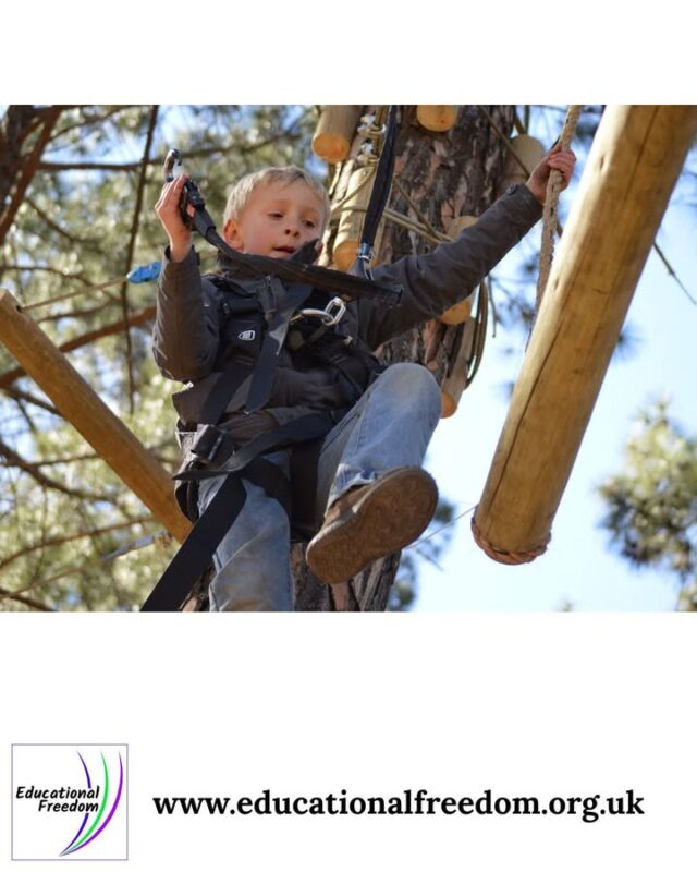 Physical activity outdoors supports both mental and physical health, and it doesn’t need to be structured. Walking, climbing, balancing, running, and free play all help children regulate emotions, build strength, and develop coordination. You can create simple obstacle courses, try geocaching, or explore new footpaths around Pulborough. Even a short walk can reset the day when energy feels scattered. Outdoor movement is especially helpful for neurodivergent learners who benefit from sensory input and open space. It’s learning, wellbeing, and connection all in one.