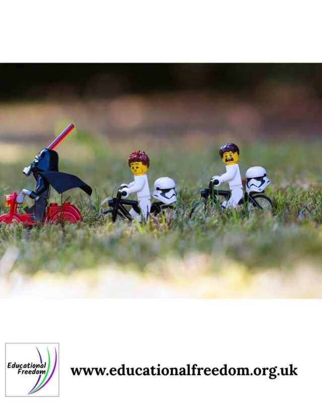 Weekends are perfect for creative, low‑pressure projects. Try leaf printing, natural mandalas, bark rubbings, or building tiny habitats for imaginary creatures. Bring a small art kit outdoors — pencils, watercolours, glue, paper — and let your child choose what to create. You can also photograph interesting textures or colours and turn them into a collage later. Creative work outdoors encourages mindfulness, observation, and self‑expression. There’s no right or wrong way to do it; the process is the learning.