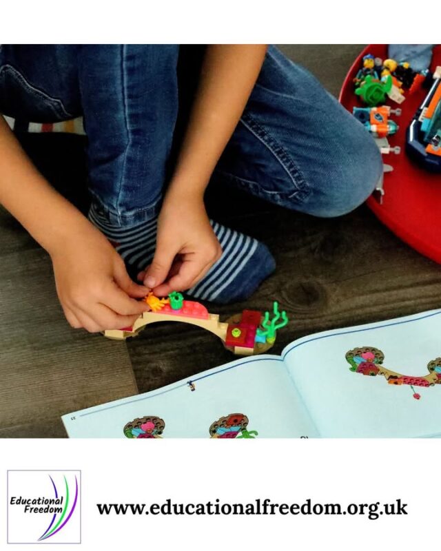 Let’s talk learning styles.
Some kids thrive with textbooks.
Some thrive with Minecraft, baking, nature walks, or deep‑dive obsessions.
All of it counts. All of it is learning.

What’s your child’s favourite “unexpected” learning method?