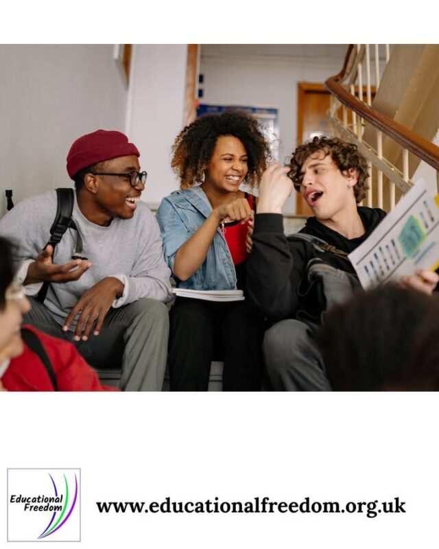 Every wondered about life after home education? Read some real life stories here - https://educationalfreedom.org.uk/life-after-home-education/