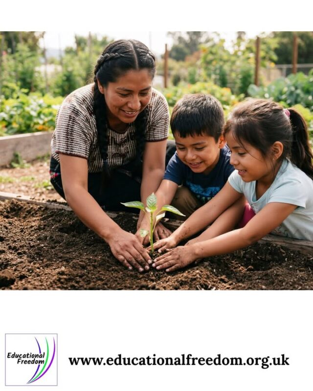 One of the most common questions new home educators ask is: Where do I even begin? The honest answer is: you begin by slowing down. Summer is the perfect time to decompress, observe your child, and let the pressure of school expectations melt away.
You don’t need a curriculum, a timetable, or a stack of resources to get started. In fact, Educational Freedom encourages new families to take a “deschooling” period — a chance for children (and parents!) to rediscover learning without stress. Notice what your child gravitates toward. What do they talk about? What do they explore when no one is directing them? These clues will help you shape a personalised, suitable education in the months ahead.