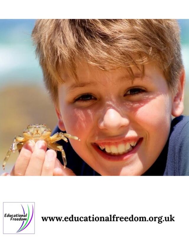 New home educators often feel pressure to choose a curriculum immediately — especially in summer when shops and websites push “back to school” materials. But here’s the truth: you don’t need to follow the National Curriculum unless you want to.
Home education allows you to build an approach that suits your child’s age, ability, interests, and needs. Some families use structured resources; others follow a project based or child led approach. Many blend different styles. There is no single “right” way.
Summer is a great time to experiment. Try a few activities, explore interests, visit places, read together, or simply enjoy unstructured days. You’ll soon discover what works for your child — and what doesn’t.