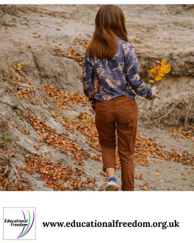 After you dereg. Whats next?! 
If your child has recently left school, you may notice they’re tired, anxious, or unsure of themselves. This is normal — and it’s why Educational Freedom emphasises the importance of deschooling. Here are gentle activities that rebuild confidence while still offering rich learning: • Slow Nature Walks: Observe wildlife, sketch plants, collect natural objects. • Creative Journaling: Drawing, writing, collaging, or simply expressing feelings. • Documentary Afternoons: Watch together and pause for discussion. • Hands On Projects: Baking, Lego engineering, crafting, gardening. • Reading Picnics: Indoors or outdoors — books + snacks = calm learning. These activities help children decompress and rediscover curiosity. And remember: the law does not require you to follow school hours, school subjects, or school methods. You have the freedom to ease in gently and build a rhythm that supports your child’s wellbeing. Healing is learning — and it counts.