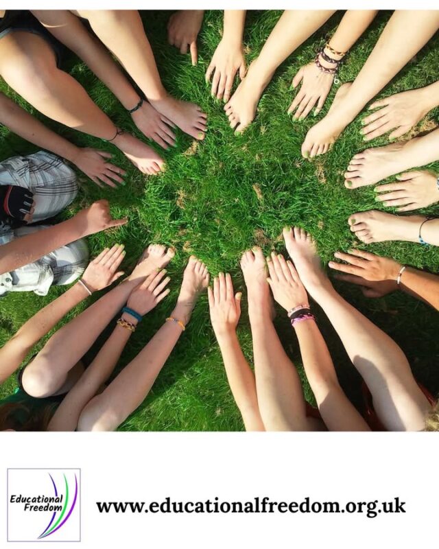 Worried you'll be doing all the education solo? Community is one of home educations greatest strengths. Many parents worry they’ll be doing everything alone, but home education is full of community, collaboration, and shared learning. 
Here are activities that help you connect: 
• Join local meet ups or park days 
• Attend workshops, museum events, or group classes 
• Create a shared project with another family 
• Start a book club, STEM club, or nature group 
• Swap skills — one parent teaches art, another teaches coding Home education thrives when families support each other. 

And because the law recognises home education as a valid educational route, you have the freedom to build a community that works for your family — not one dictated by school hours. You’re not alone. You’re part of a growing, vibrant movement.