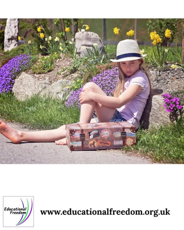 We often panic when our children say, “I’m bored.” But boredom is actually a powerful catalyst for creativity, problem‑solving, and self‑direction.
When children aren’t constantly entertained, they learn to generate their own ideas. They explore, experiment, and discover what truly interests them.
So next time boredom appears, don’t rush to fill the gap. Let it breathe.
What’s the most interesting thing your child has created out of boredom?
