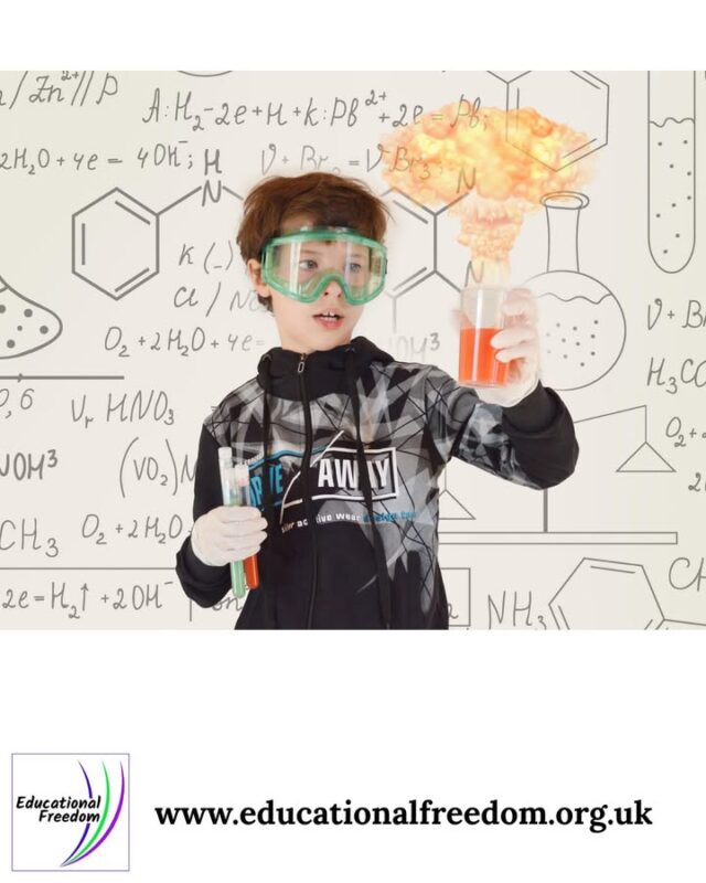 Science isn’t just experiments with goggles and lab coats. It’s cooking, weather, plants, animals, magnets, shadows, bubbles, and broken appliances waiting to be investigated.
Children are natural scientists — they observe, test, question, and repeat.
Try inviting your child to notice something today: a pattern, a change, a reaction. Ask what they think is happening.
Science begins with curiosity.
What’s the coolest science moment you’ve had recently?