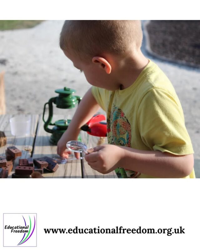 Home education is incredibly diverse—there’s no one "right" way to do it. Some families prefer a structured approach, following a set curriculum similar to traditional schooling but delivered at home. Others embrace "unschooling," where learning is driven by the child’s interests and natural curiosity, without formal lessons. There are also eclectic styles that blend various approaches. Understanding these options can help you find the best fit for your child’s personality and learning needs. Educational Freedom offers detailed explanations of these styles, helping families to make informed choices tailored to their children.