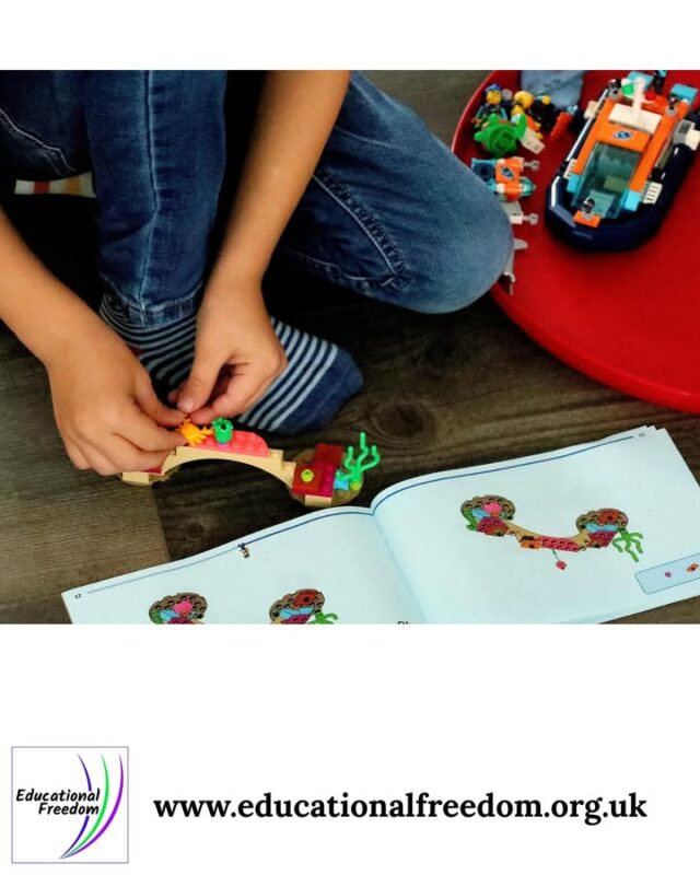 What creative activity has your child enjoyed recently? Creativity can take so many forms — drawing, building, crafting, writing, music, storytelling, or inventing something entirely new. Share what they made or explored and how it turned into learning. Creative activities often lead to problem solving, planning, emotional expression, and confidence. These posts always inspire other families to try new ideas.