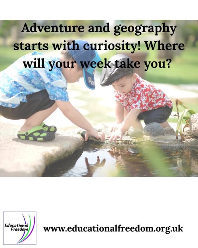 June is a wonderful month for geography learning, especially outdoors. Maybe your family explored local landscapes, looked at maps before a trip, discussed weather patterns, or tried foods from another culture. Geography is all around us, and June’s longer days make it easier to explore. Share a geography moment from your week, big or small, and help inspire other families to see the subject in new ways.