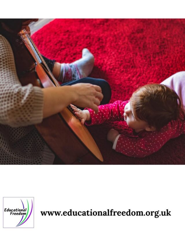 Sound is a fascinating topic for children to explore. They can investigate how vibrations create sound, how pitch changes with tension, and how materials affect volume. Simple activities like tapping glasses with different water levels, stretching elastic bands, or using cardboard tubes can reveal the science behind everyday noises. Encourage your child to experiment with making sounds and noticing patterns. What sound based science activity has your child enjoyed?