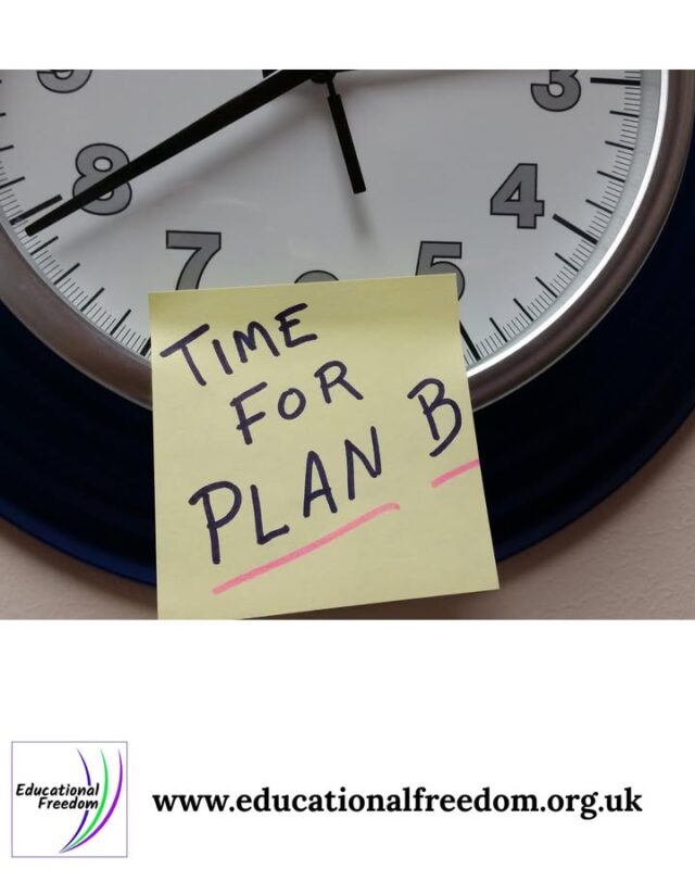 If something isn’t working, you can change it, immediately. You don’t need permission, approval, or a formal process. You can switch resources, adjust routines, or try new methods. This flexibility allows you to respond to your child’s needs in real time. Changing your approach is not a sign of uncertainty, it’s a sign of responsiveness.