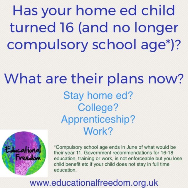 What are your post 16 plans for your home ed kid?