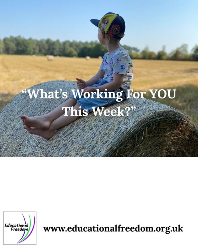 Some weeks in home education feel beautifully smooth, and others… well, let’s just say the kettle works overtime. So here’s a cosy little check‑in for everyone: what’s working well for you this week? It might be a resource your child suddenly clicked with, a new routine that’s helping mornings feel calmer, or even a tiny win like remembering where you put the pencils.
I love hearing the small victories because they remind us that progress isn’t always loud, sometimes it’s gentle and steady. If you’ve found something brilliant, feel free to share it below. And if you’re having a wobbly week, you’re in good company. We’ve all been there! 
If you want inspiration, we’ve popped a few ideas on our website — feel free to explore - https://educationalfreedom.org.uk/