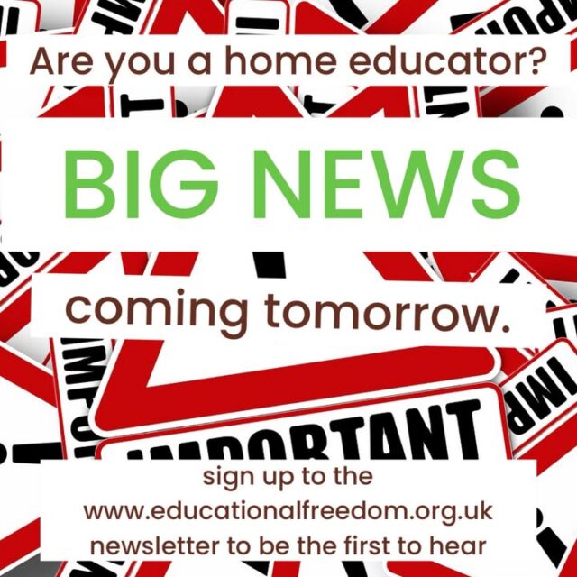 Home Education BIG news coming tomorrow Monday the 27th. Be the first to know by signing up to the Educational Freedom Newsletter.