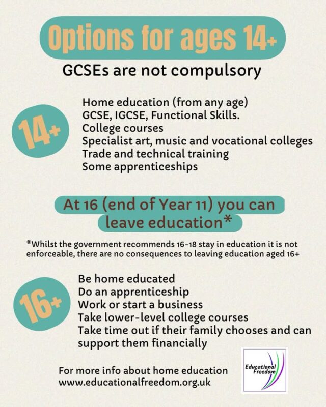 There are lots of alternative paths to the standard GCSEs at 16 option.  #options #gcses #optionseducation #educationalfreedom