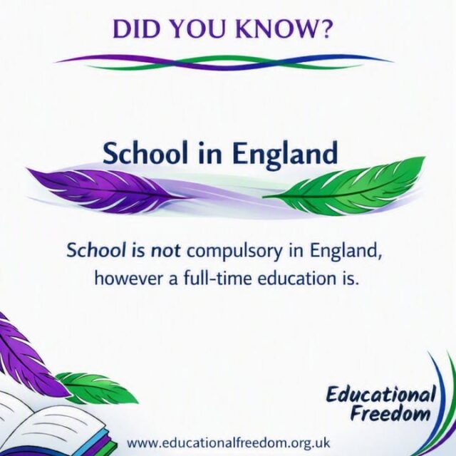 Is your child starting to get upset or panicked about going back to school next month?
Do they have SEN not being met?
Are they being bullied and school refusing to adequately protect your child?
Is your child bored at school?
Are they not happy?
Do they have school phobia?
Does your child prefer learning whilst moving around?
Are mornings a struggle for you or your child?
Are the school days too long?
There’s lots of reasons school doesn’t work for lots of children, in fact you don’t even need a reason to choose to home educate. You can do it just because you want to.
Home ed is very rarely what people think it is, and it’s different for every single child.
You’re not tied to school hours, so you can enjoy parks and museums when they’re quiet, you can meet up with friends, learn through play and experience, teens often function better late at night with home ed they can learn whenever suits them, home ed is what your child needs their education to be.

No door is closed. You can still get and keep an EHCP, you can still do GCSEs (though they’re not compulsory), college and uni love the independent learning skills home ed kids have.

You can work and home ed, be a single parent and home ed, be disabled and home ed (some of our team are all 3), you just need to find what works for the family. Remember home ed isn’t lessons to a timetable (unless that’s the style you end up following).

Share so everyone knows home ed is an option.