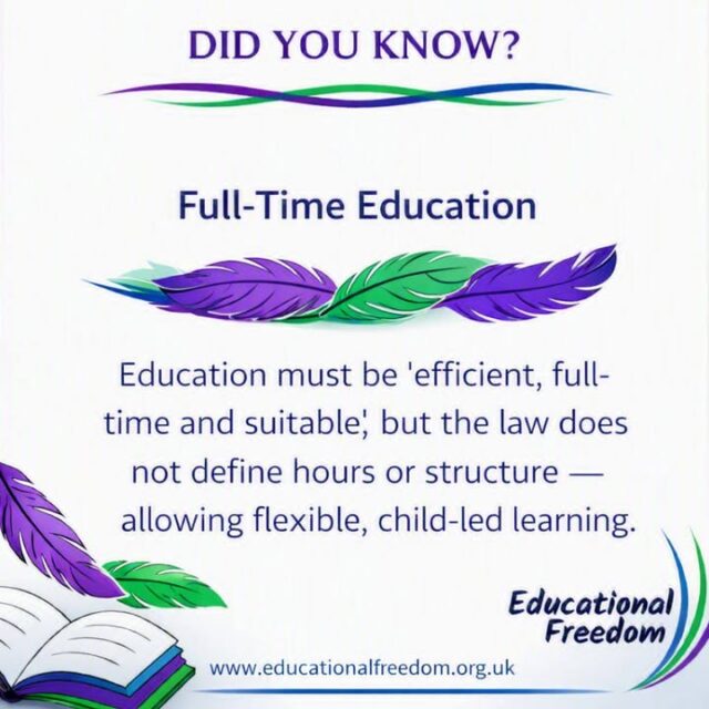 Did you know that the law requires education to be “efficient, full‑time and suitable” — but never defines what that looks like?
That flexibility is what makes home education so empowering. Families can tailor learning to each child’s pace, interests, and wellbeing, without being bound by school hours or rigid structures.

At Educational Freedom, we help parents understand their rights and responsibilities under the law, offering clear guidance and supportive resources for every stage of the home‑education journey.