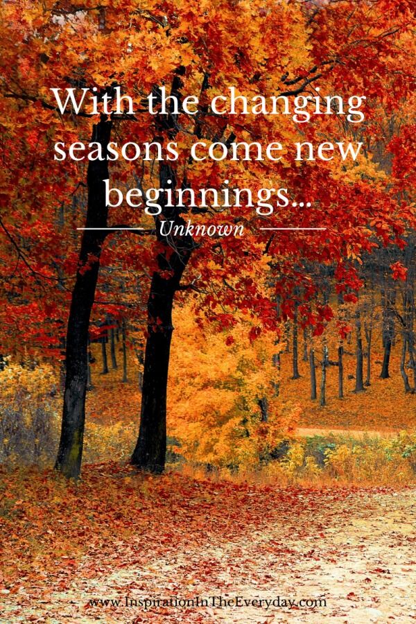 How has everyone's Summer been? September always suggests new starts to me so despite not really following the school years we have lots of new topics and units starting next week. Does any one else get like this? Probably down to years of being in the institution!!! But please do share us with us all what you're looking forward to exploring next month!! #homeeddad #homeedmum #homeedplanning #learningfromhome #homeeducate #homeeducationrocks #homeeducationlife #homeedideas #homeedLA #homeeducationadventure