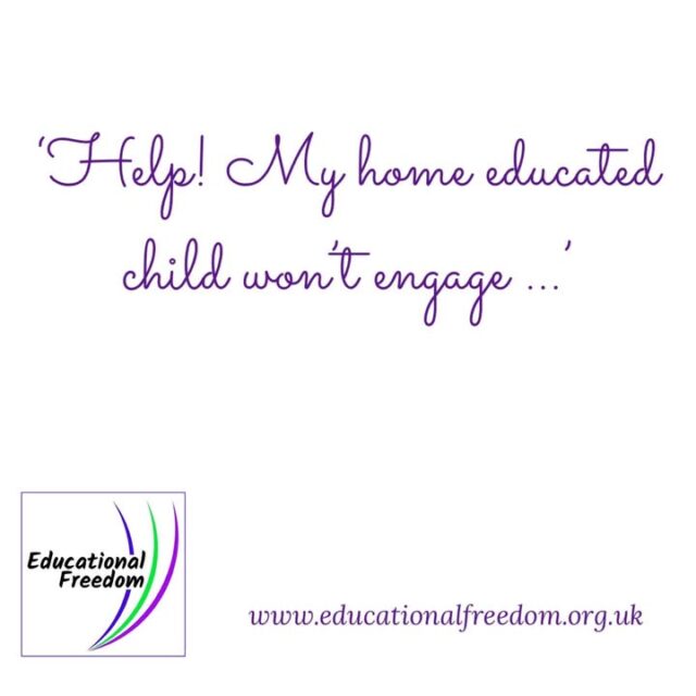 Let’s talk about ‘my child won’t engage’
Every situation is different, but let’s look at a few points worth considering.

Did you deschool? Properly, you and the child? Deschooling needs to be for as long as it takes for the instinct to learn like school to be out of your system. Yes formal learning can be a part of home education, but you will only know if it is right for your child by giving them time to deschool and explore other options.

When we see questions like this it’s often because the child doesn’t yet know how to think for themself, or how to seek things out. But what the child knows is what you’re asking of them doesn’t interest them.

Instead, try spending time with your child, just exist alongside each other, get them involved in life. Watch the news, listen to a podcast, go for a walk, bake, play monopoly, fix the car, hang a shelf. Being around experiences will evoke questions and interests.

Strew. This means putting together a box/basket of preorganised activities that need no input from a parent. It could be a mix of craft activities, wordsearches, jigsaws, worksheets, puzzles, fun tasks… anything at all that are safe and accessible activities your child can do when they choose to pick something because they aren’t ready to fully think for themselves.

A bored child is good, yup it is. There’s only so many hours a child will stare at their phone/tv before they decide to do something else. But if they have no idea what else to do then they’ll go back to their phone. Strewing means there are options of something else, with no pressure. Being bored will evoke investigation and questions, but if they’re not exposed to life they’ll have nothing to enquire about. This is why many home educators have lots of books, posters, globes, craft sets, games, etc not shoved away in a closed cupboard, kids need to see things to know to investigate.

A child is never going to ask about the medieval times if they don’t know what it is. So go to castles, or museums, play dressing up, draw maps, make a shield etc. but, the key is doing these things in a way that suits your child, and that can take time to understand.

If you have asked them to do an hour on Reading Eggs and they refuse, or you’ve spent hours printing off worksheets about nouns and verbs, and your child refuses to look at them, or you’ve bought lots of workbooks and your kid says he can’t do them…. Think about why, firstly, why do you want the child to do these tasks? Why does the child not like that resource? Why are you expecting them to learn in a way they’ve no current (or previous) interest in? Often the child was wanting to do something else but you’ve clicked into teacher mode and they’ve clicked into pupil mode, they don’t feel able, or even know how, to say what they want to do instead.

Sometimes a child will refuse to engage with anything, even the fun stuff (though you think it’s fun, does your kid?). If your child has not learned how to regulate their own time, how to seek out information, how to entertain themselves, and you’ve tried the above suggestions, then it’s worth considering what they and you want to achieve from home education. A conversation about the future, about both of your expectations etc can be vital, at any age. It helps you both understand the expectations and helps you explore the goals together. A teen who wants to be a mechanic will more likely do what’s needed to make that happen, a teen wanting to go to uni will study what is needed to get there, but both will need support and guidance to do it.

Be real, is home education actually right for both of you? Sometimes it’s not. Sometimes a child needs the school type environment and the parent not being teacher. And that’s ok. You didn’t fail. Don’t break your relationship forcing something that isn’t working.

Feel free to share your tips below on what to do when you hit the wall of ‘help my kid won’t engage’.