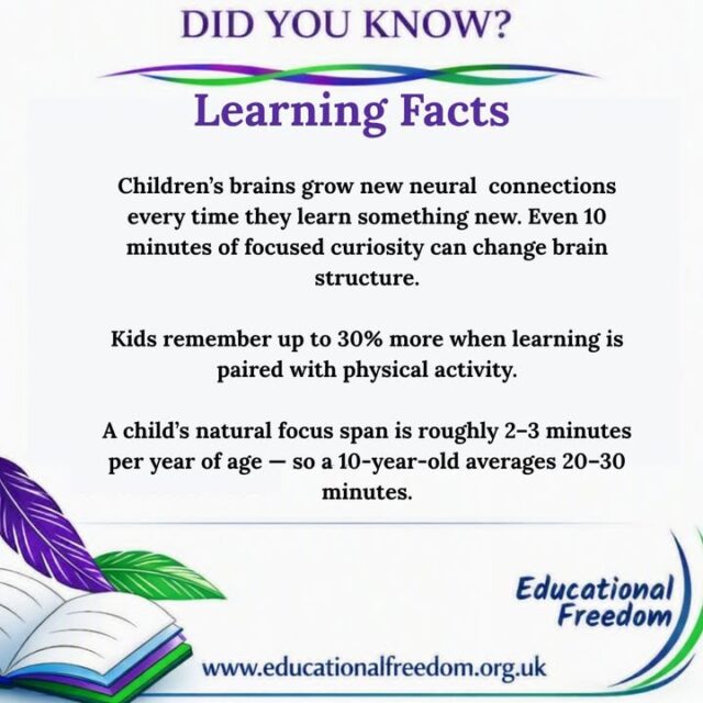 Children’s brains are constantly rewiring themselves. Every time they explore something new, ask a question, or try a skill, their brain builds fresh neural pathways. It’s one of the reasons curiosity is such a powerful learning tool — the brain literally grows with use.
What’s something your child has learned recently that surprised you?