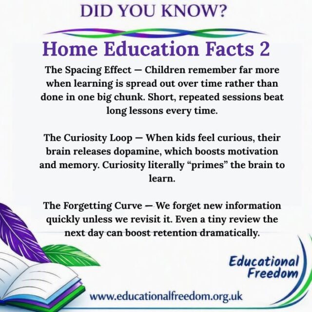 Learning isn’t just about books and worksheets — it’s about understanding how the brain actually works. These three principles are game‑changers for home‑educating families. The spacing effect shows us that short, regular sessions beat long, exhausting ones. The curiosity loop reminds us that interest isn’t a luxury — it’s a biological boost that makes learning stick. And the forgetting curve proves that tiny reviews can make a huge difference. When we work with the brain instead of against it, learning becomes calmer, smarter, and far more effective.
Which of these has made the biggest difference in your home‑ed routine?