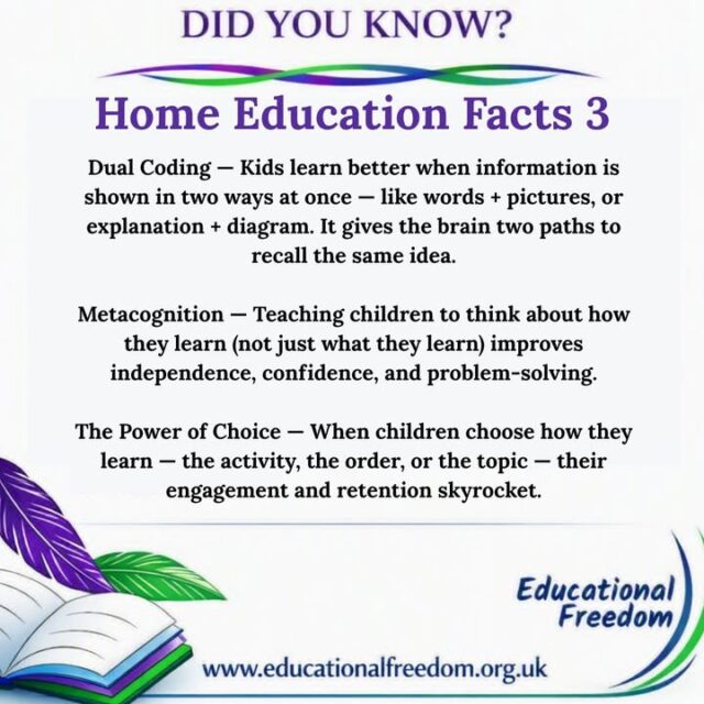 These ideas are brilliant reminders that learning doesn’t have to be one‑size‑fits‑all. When kids see information in different ways, understand how they learn, and get to make choices, everything becomes more engaging and memorable. Home ed gives us the freedom to use all three every day.
Which one does your child thrive on most?