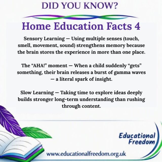 Learning sticks best when it feels real. Sensory learning helps children remember because their brains store experiences in multiple ways. Those brilliant “AHA!” moments are actual bursts of insight — tiny sparks that show deep understanding. And slow learning reminds us that taking time isn’t falling behind; it’s building knowledge that lasts. Home ed gives us the space to learn in a way that truly works.
Which of these shows up most in your home‑ed days?